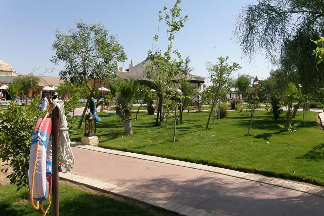 Spacer ogrodem Pickalbatros Jungle Aqua Park Resort - Neverland Hurghada