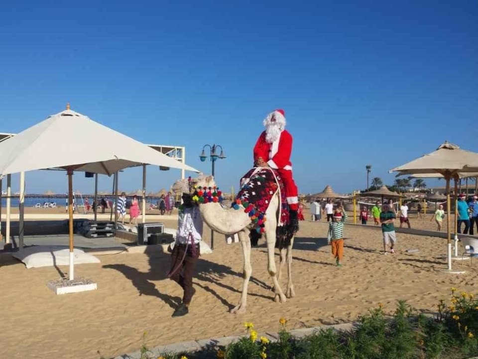 Cleopatra Luxury Resort Makadi Bay Cleopatra Luxury Resort Makadi Bay