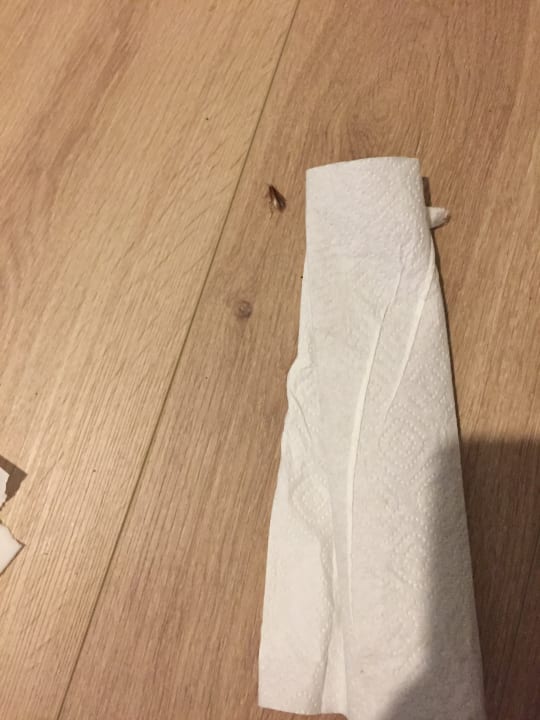 Zimmer Pension Ocakbasi im Schützenhaus