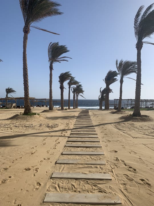 Strand Steigenberger Resort Alaya Marsa Alam - Red Sea - Adults only