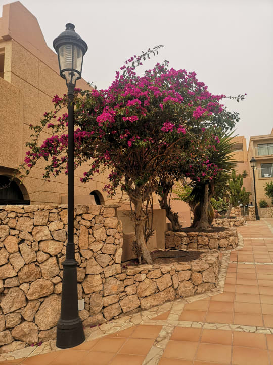 Gartenanlage SBH Hotel Taro Beach