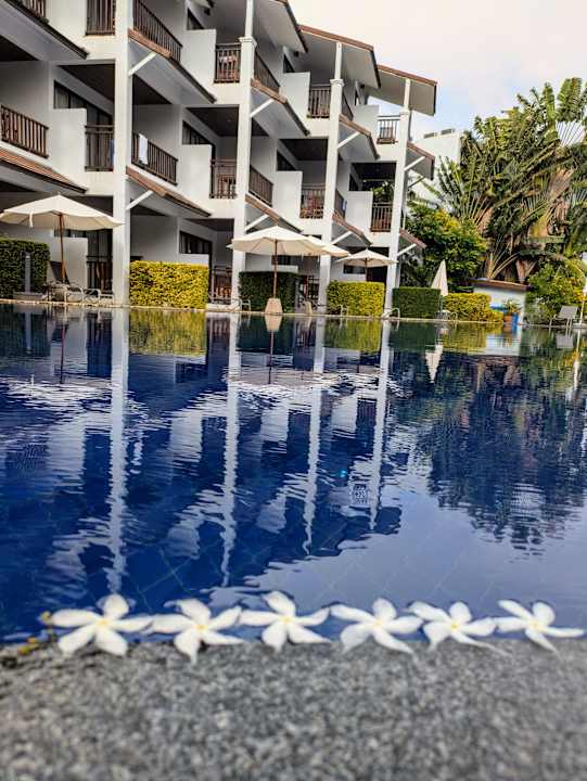 Pool Sunwing Kamala Beach