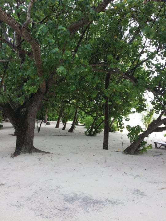 Gartenanlage Kuredu Island Resort & Spa