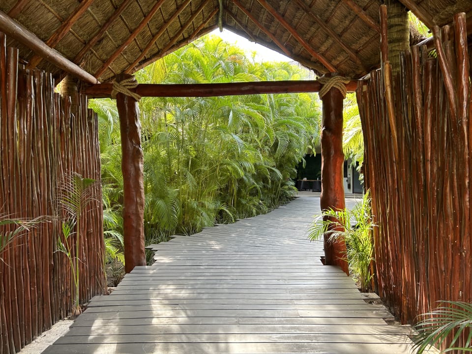 Gartenanlage Akumal Bay Beach & Wellness Resort