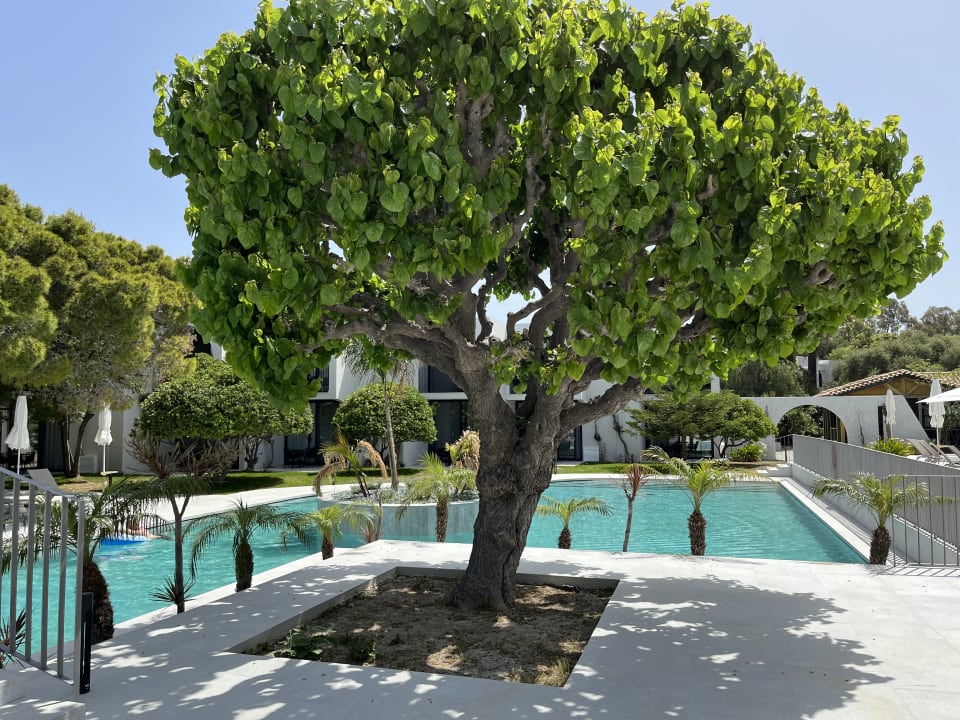 Pool Caravia Beach Hotel