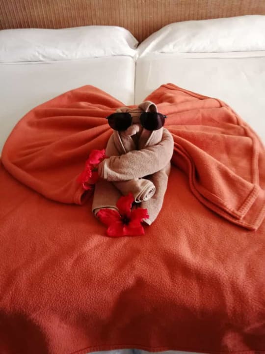 Zimmer Hotel Riu Touareg