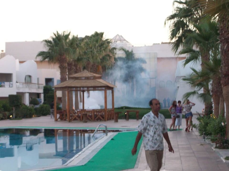 Mückenbekämpfung Hotel Aqua Fun