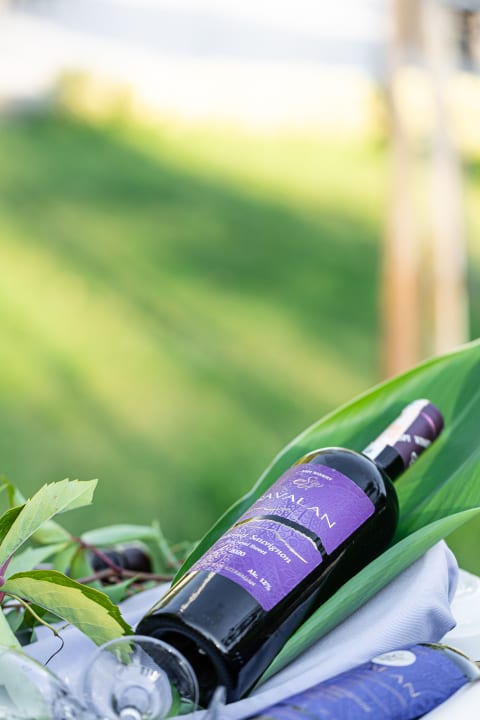 Gastro Club Hotel Phaselis Rose