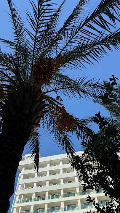 Gastro Sherwood Exclusive Lara