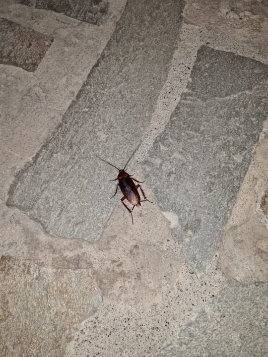 Sonstiges Atlantica Mikri Poli Rhodes