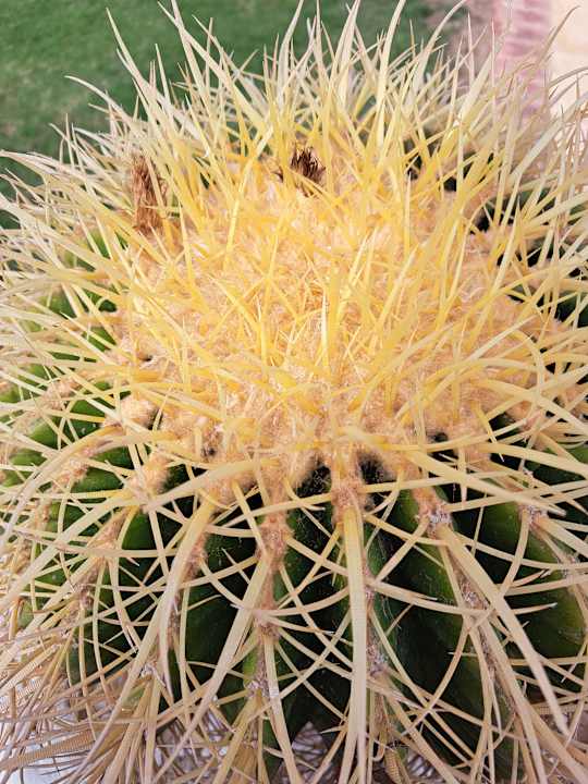 Ausblick JAZ Neo Reef Marsa