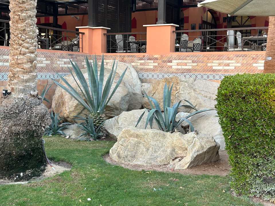 Gartenanlage Jaz Makadi Oasis Resort