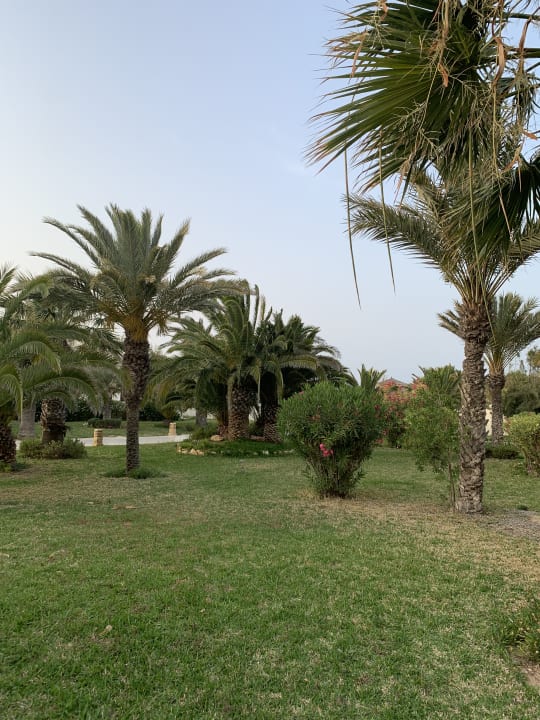 Gartenanlage TUI MAGIC LIFE Penelope Beach