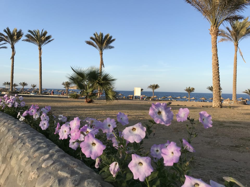 Strand Three Corners Sea Beach Resort