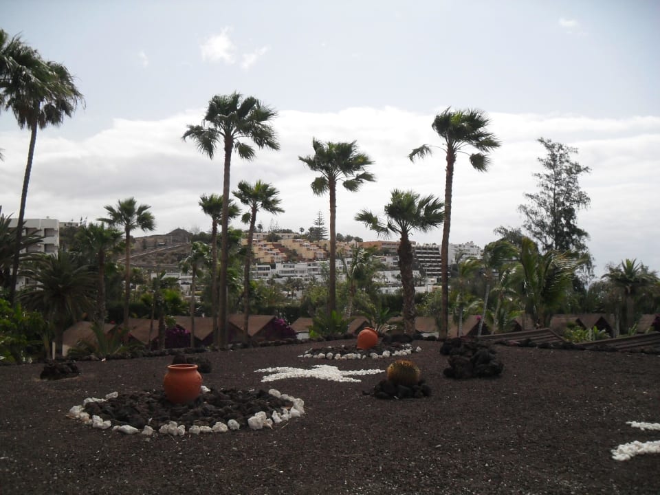 Ausbilick vom Zimmerbalkon Bull Costa Canaria & Spa - Adults only