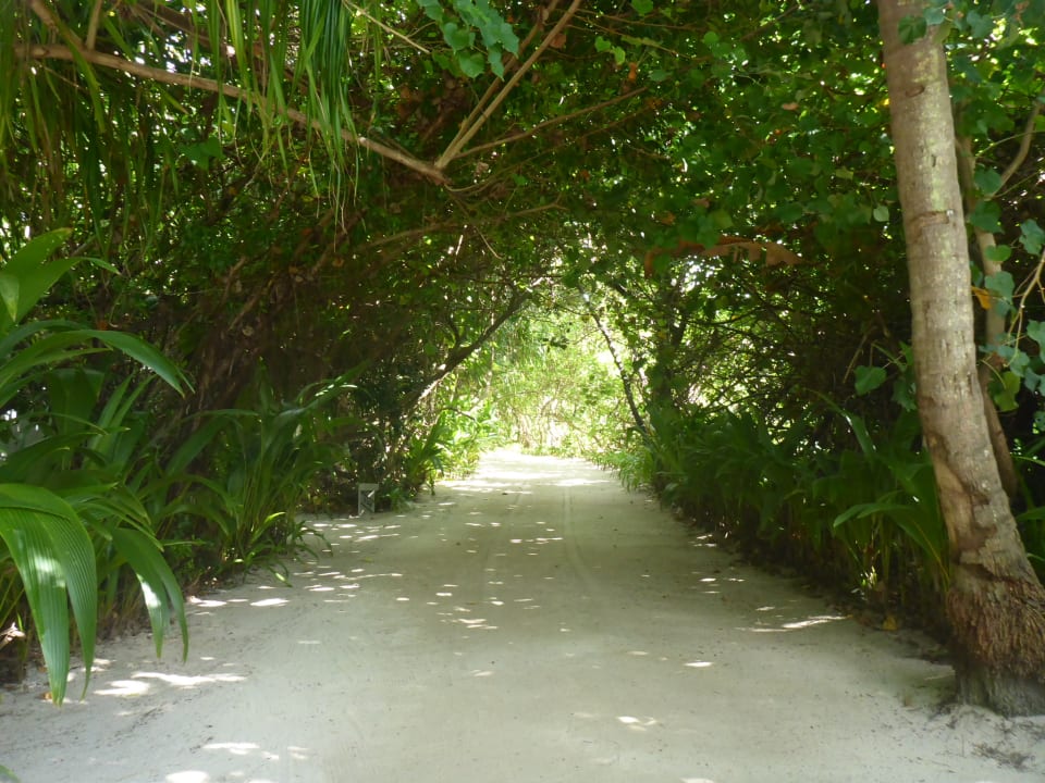 Gartenanlage NH Collection Maldives Havodda Resort