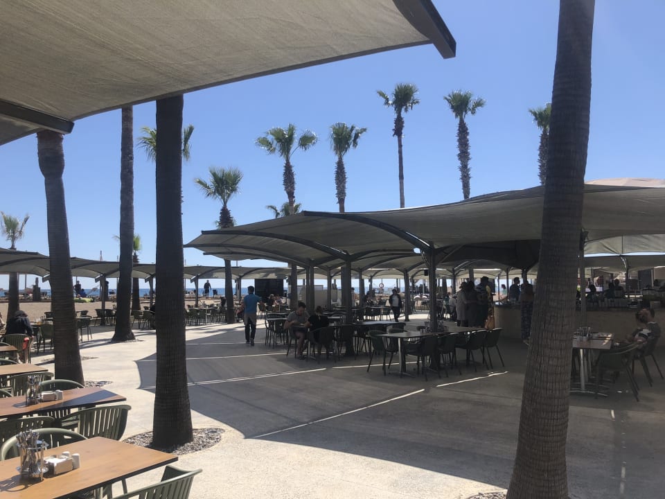 Gastro TUI BLUE Palm Garden