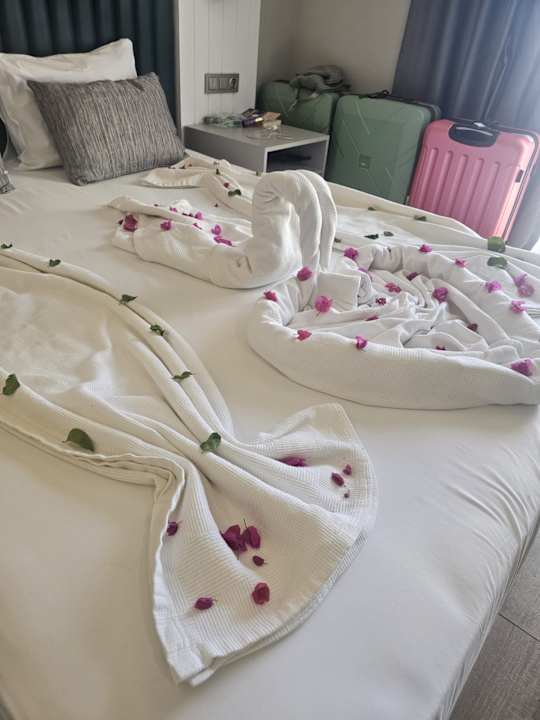 Zimmer Dream Fun World