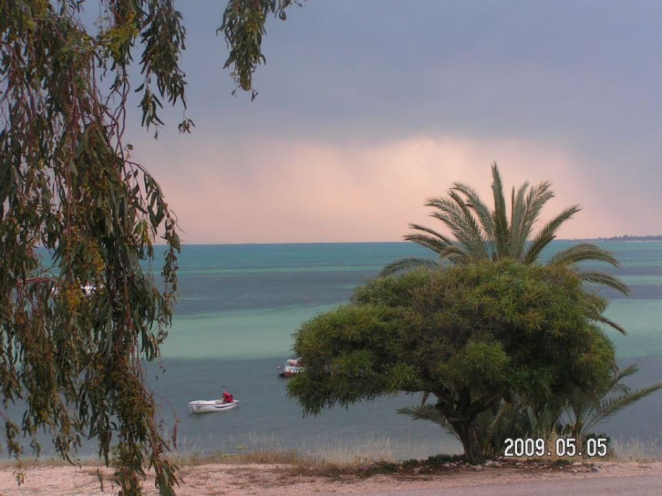 Aussicht Hotel El Mouradi Djerba Menzel