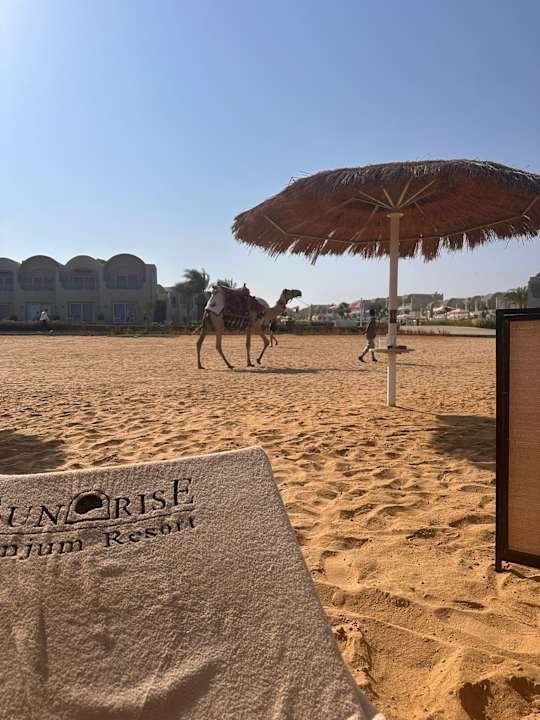 Strand SUNRISE Anjum Resort Marsa Alam