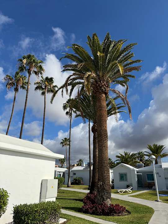 Außenansicht Canary Garden Club