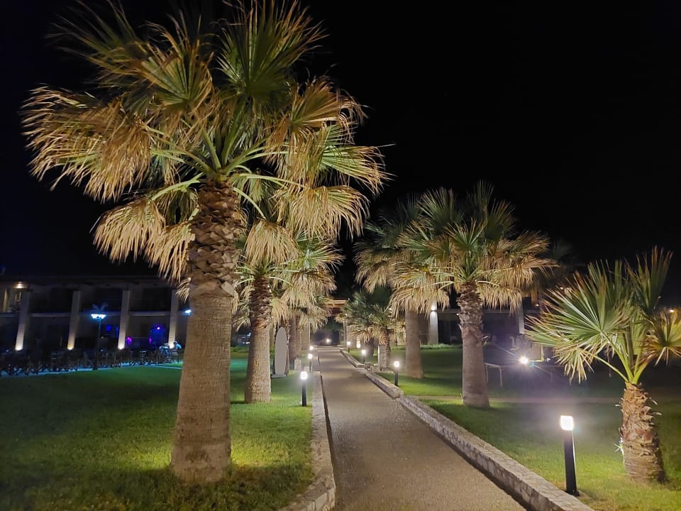Gartenanlage Eliros Mare