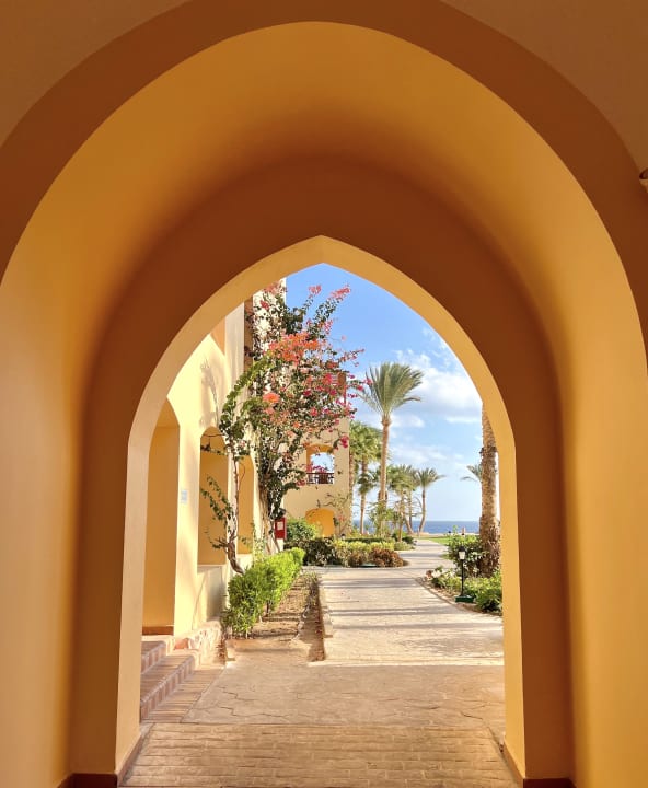 Gartenanlage Steigenberger Coraya Beach - Adults only