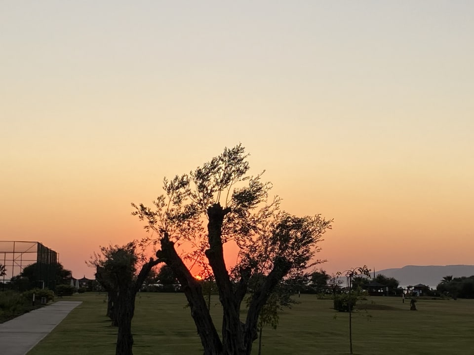 Außenansicht Korumar Ephesus Beach & Spa Resort