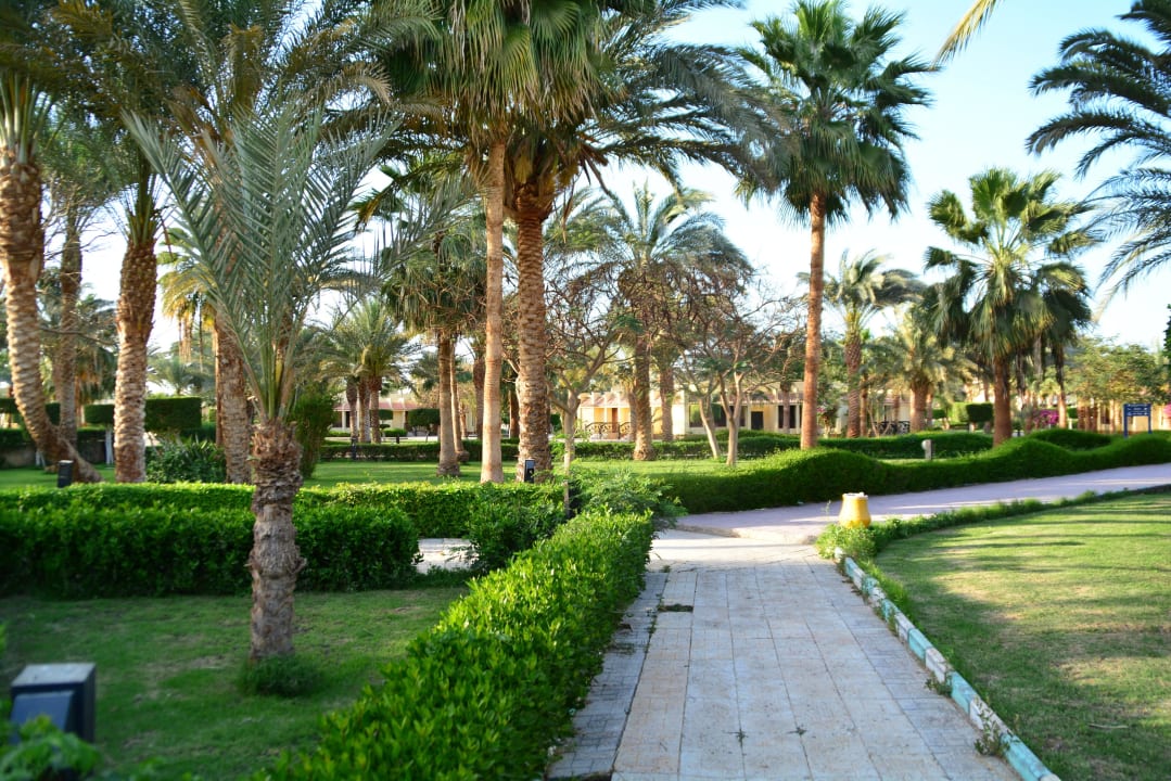 Территория отеля Blend Club Aqua Resort