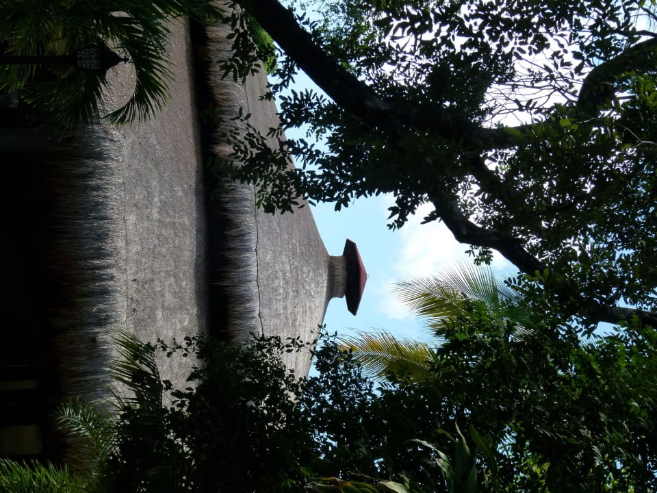 Poolrestaurant. Hotel Riu Tequila