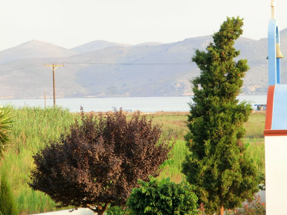 Richtung Meer Hotel Tigaki's Star