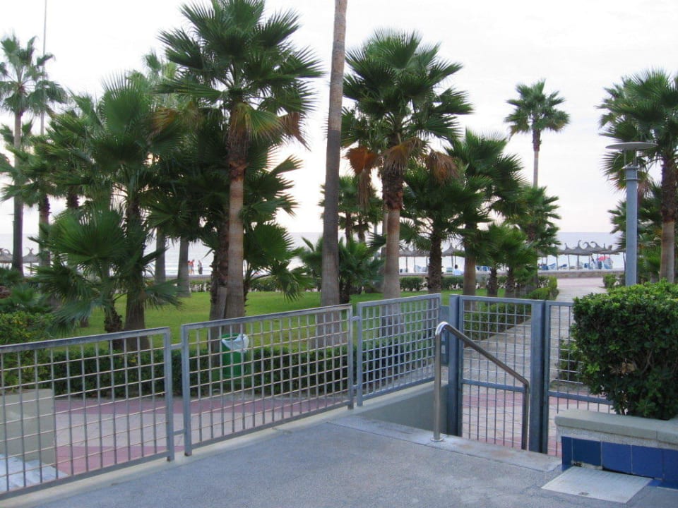 Weg zum Strand Hipotels Mediterraneo