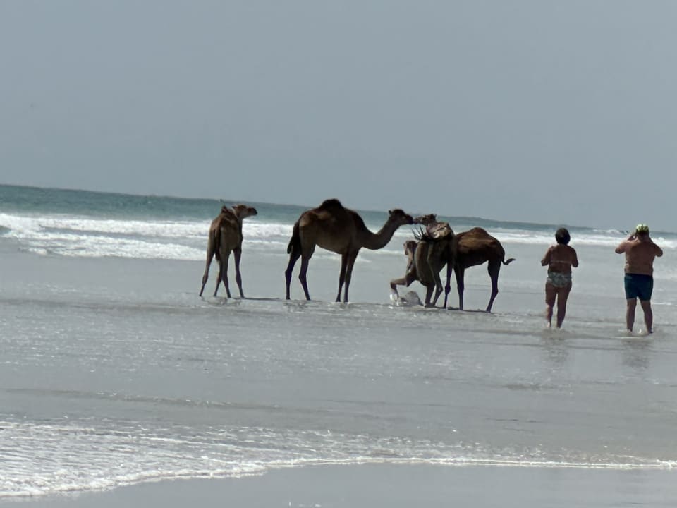 Strand Salalah Rotana Resort