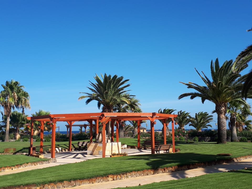 Gartenanlage Elba Carlota Beach & Golf Resort