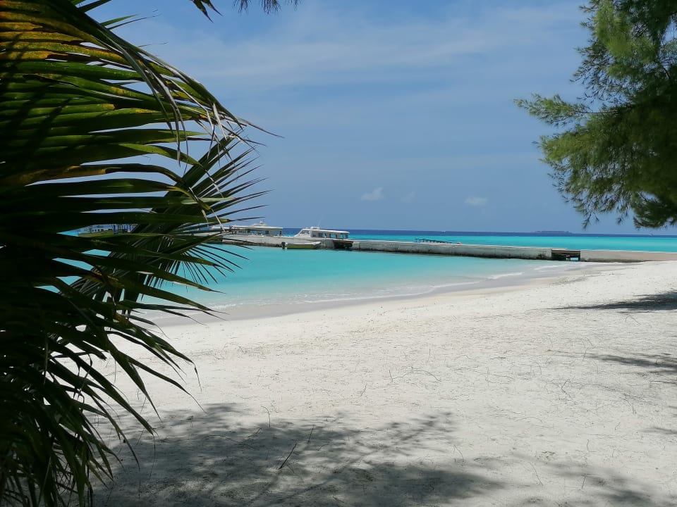 Strand Summer Island Maldives