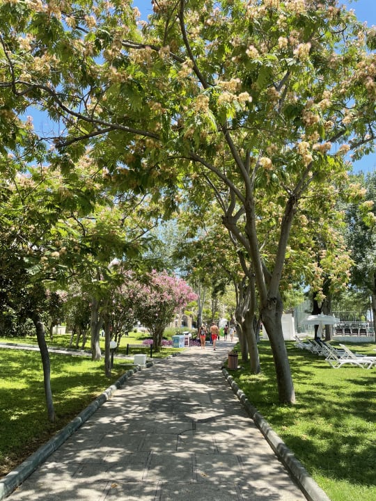 Gartenanlage Labranda Alantur Resort