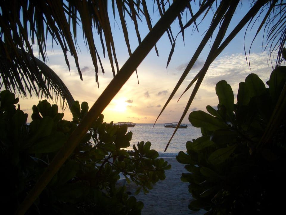 Schön Summer Island Maldives