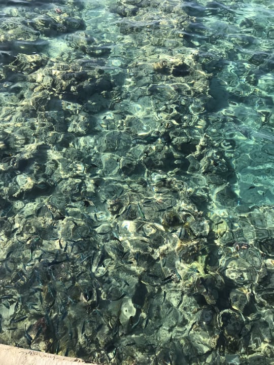 Strand Titanic Beach Spa & Aqua Park