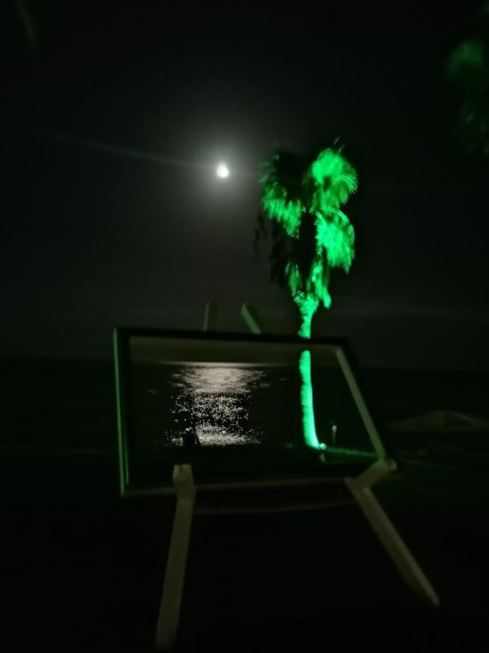 Ausblick TUI MAGIC LIFE Beldibi +16