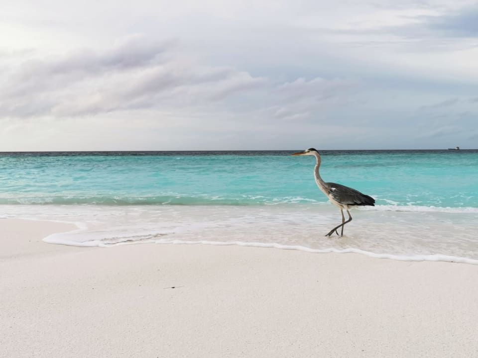 Außenansicht Thulhagiri Island Resort
