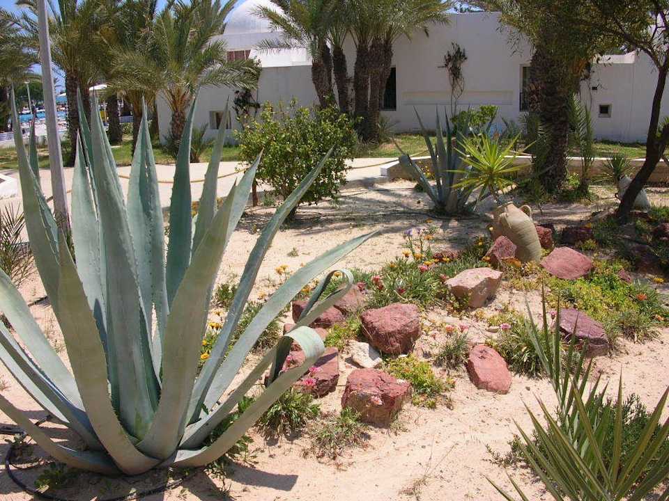 Gartenanlage Hotel El Mouradi Djerba Menzel