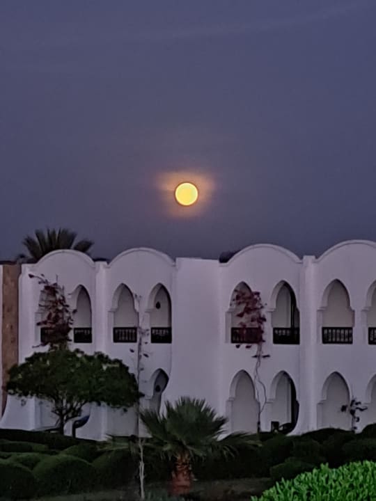 Ausblick Hotel Gorgonia Beach Resort