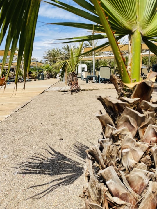 Strand Royal Wings Hotel