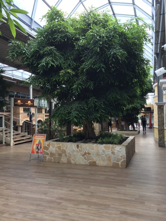 Sonstiges Ferienwohnungen Ferienpark Weissenhäuser Strand