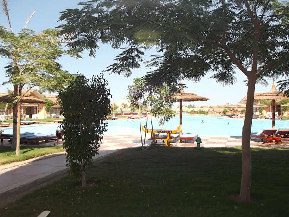 Вид из номера Pickalbatros Jungle Aqua Park Resort - Neverland Hurghada