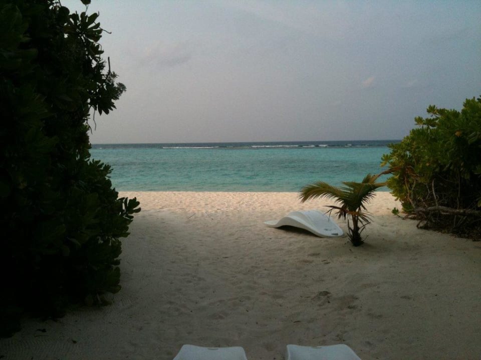 Ausblick Bungalow Palm Beach Resort & Spa Maldives