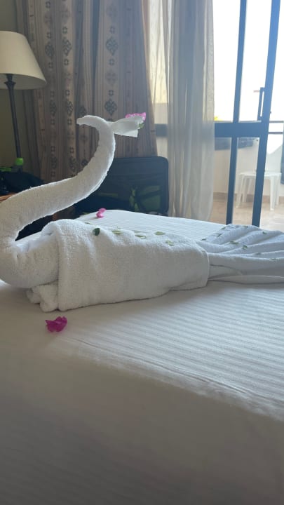 Zimmer Three Corners Equinox Beach Resort