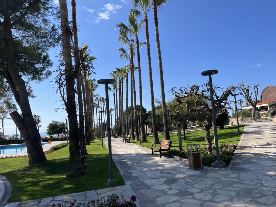Gartenanlage Arum Barut Collection