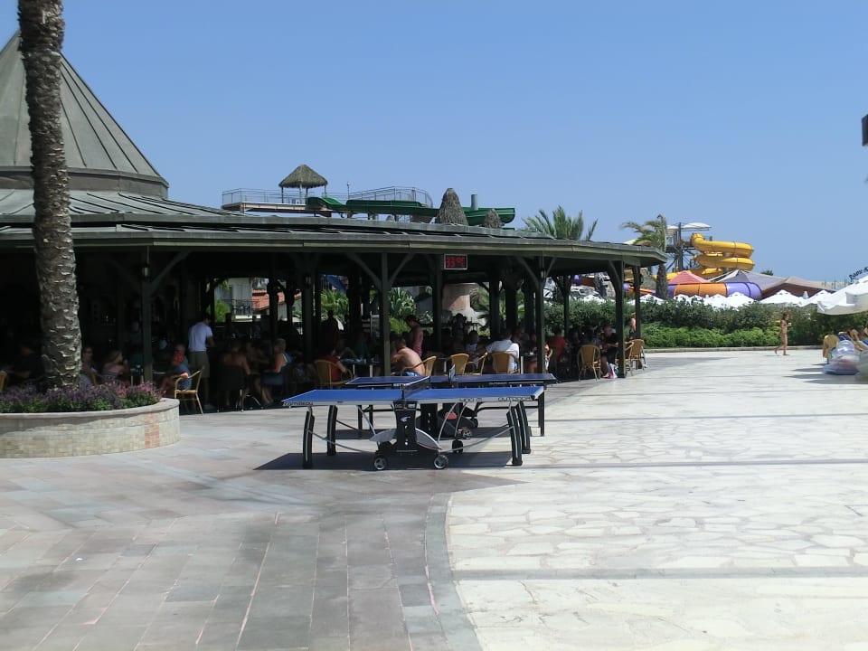 Poolbar Papillon Belvil