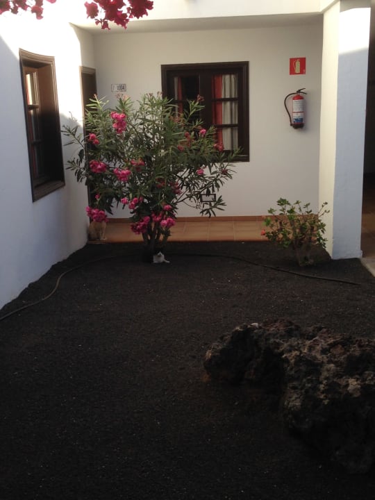 Eingang zum Zimmer allsun App.-Hotel Albatros